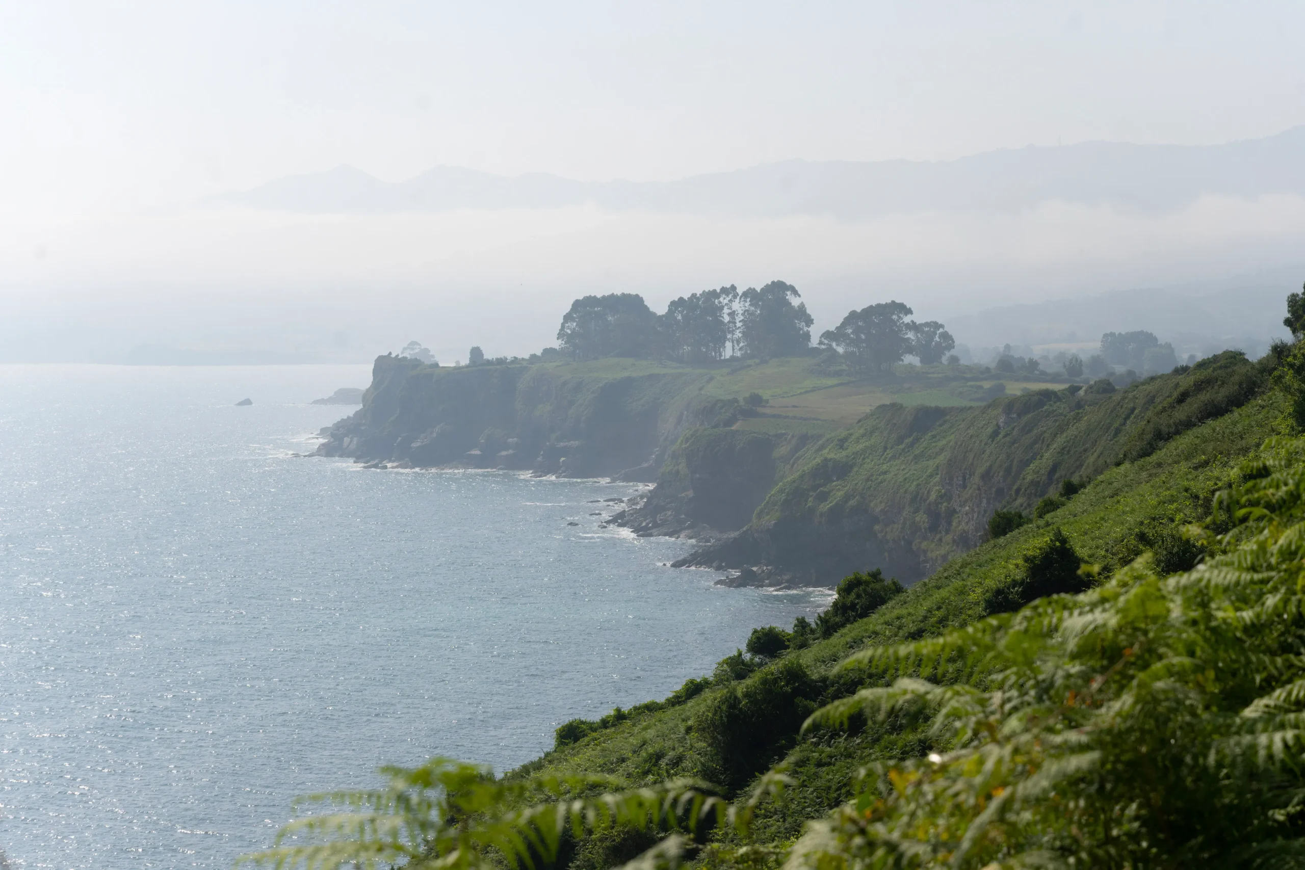 Postcard from… Asturias