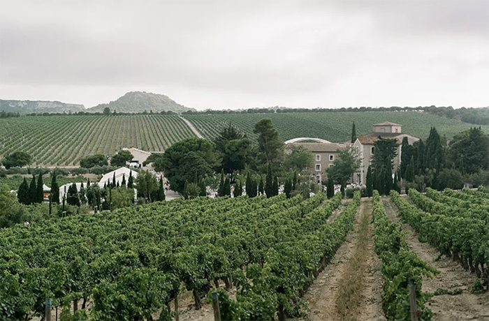 Just Back From…Languedoc