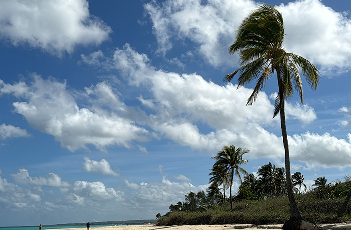 Just Back From…Cuba