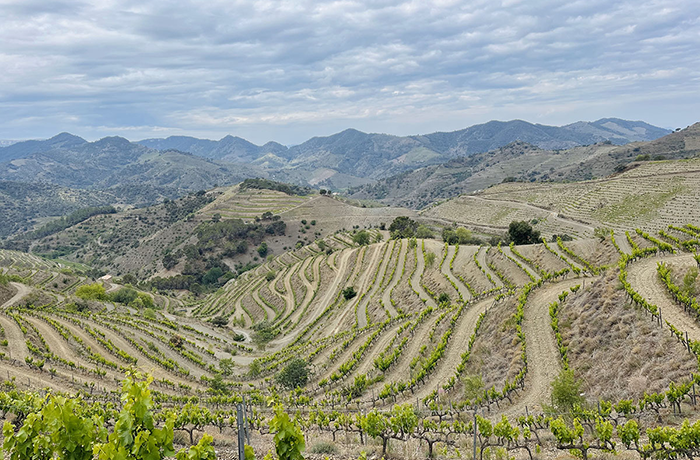 Just Back From…Priorat