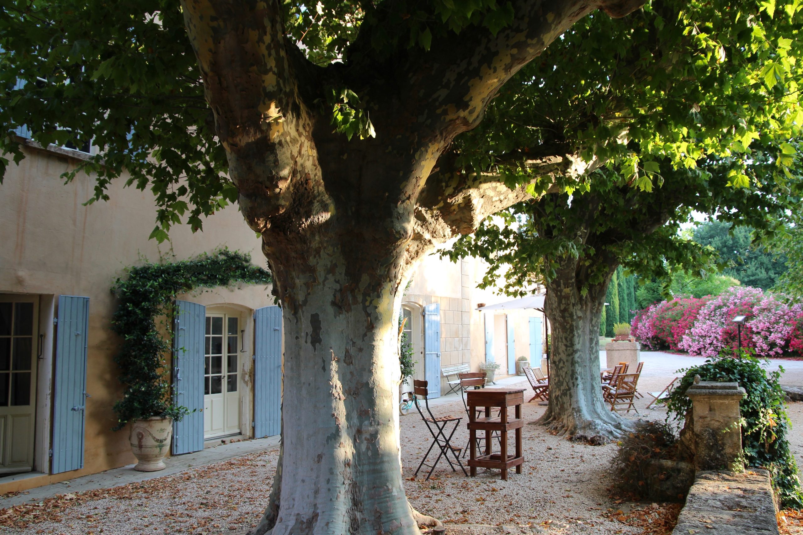 Living Abroad in…Provence