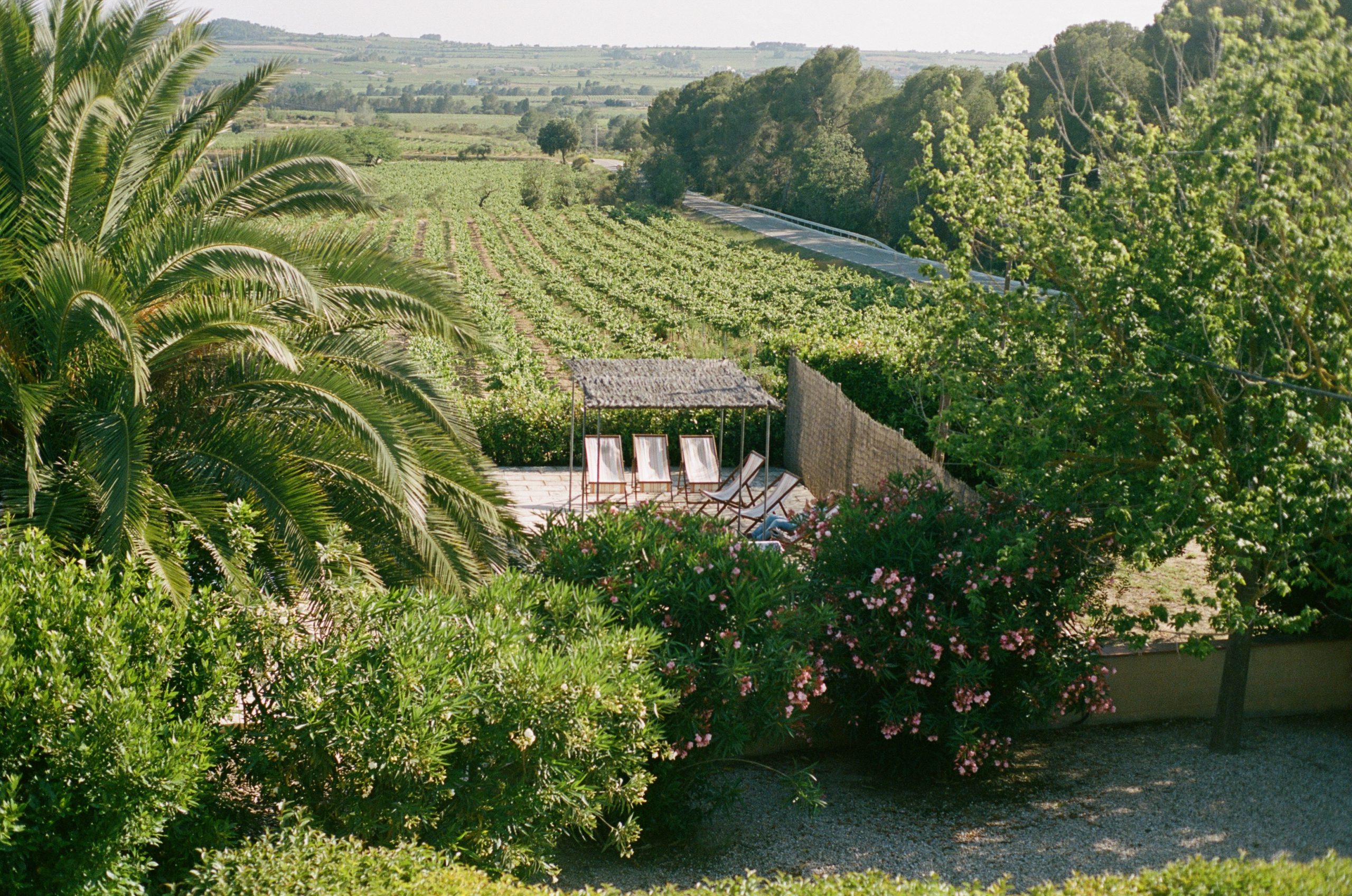 Mas Palou, Catalonia