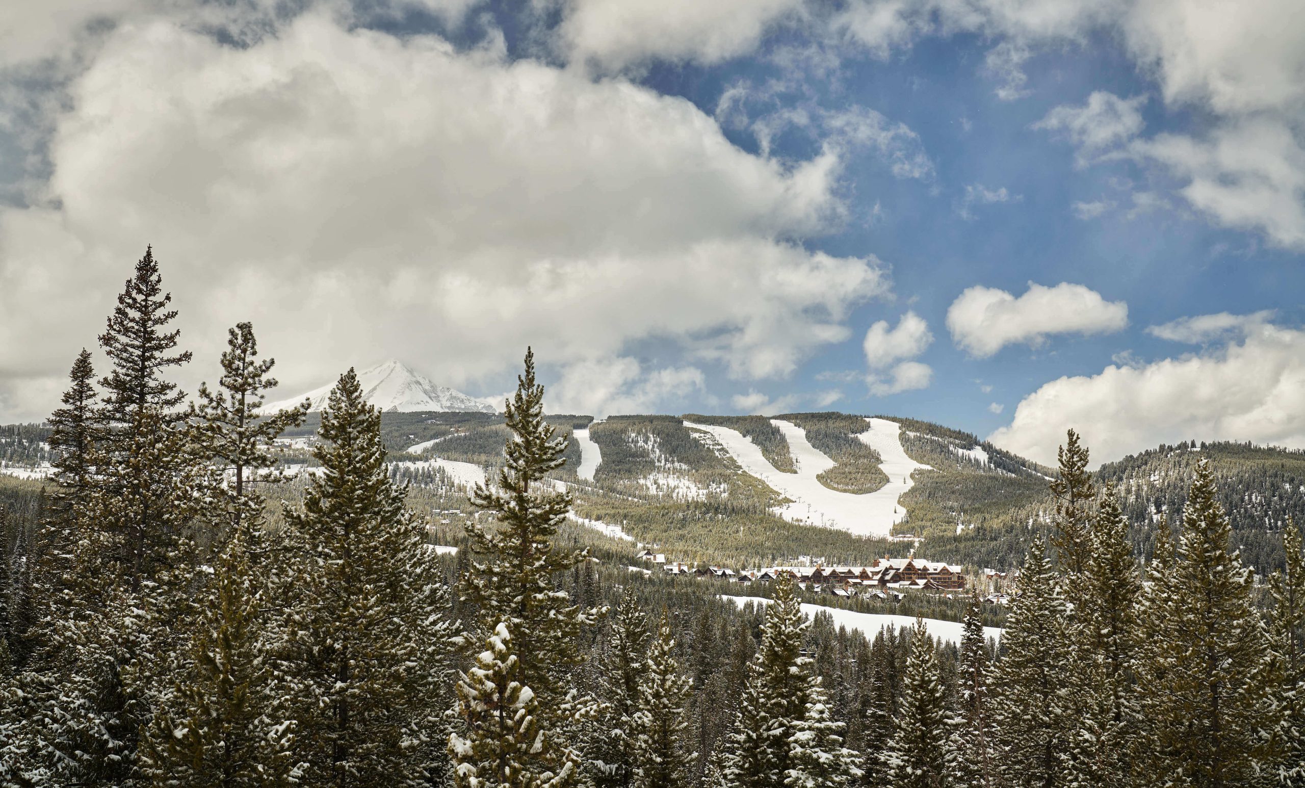 Dispatch from Big Sky