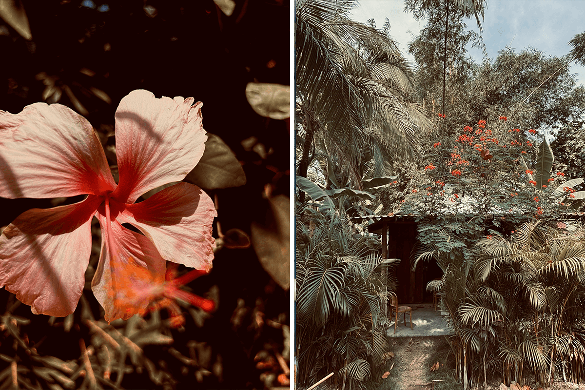 Dispatch from the Nicoya Peninsula