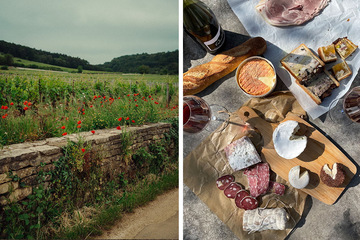 Burgundy’s Côte d’Or