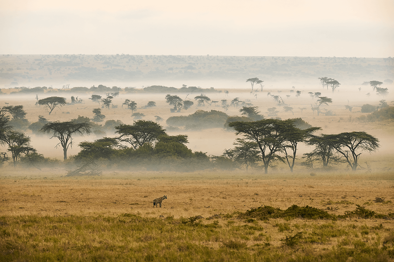 Our Safari Travel Planner