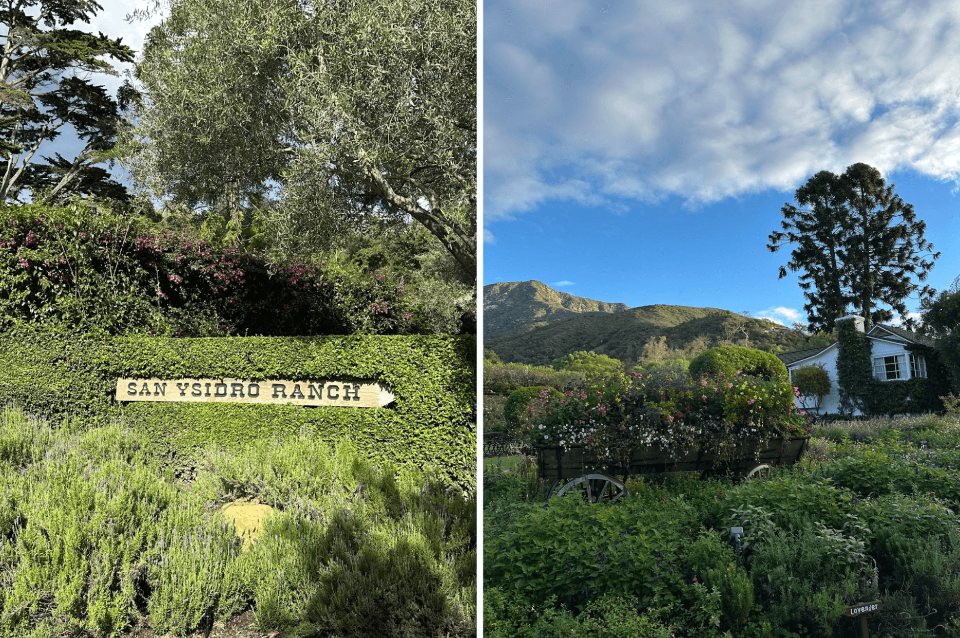 San Ysidro Ranch, Montecito, CA
