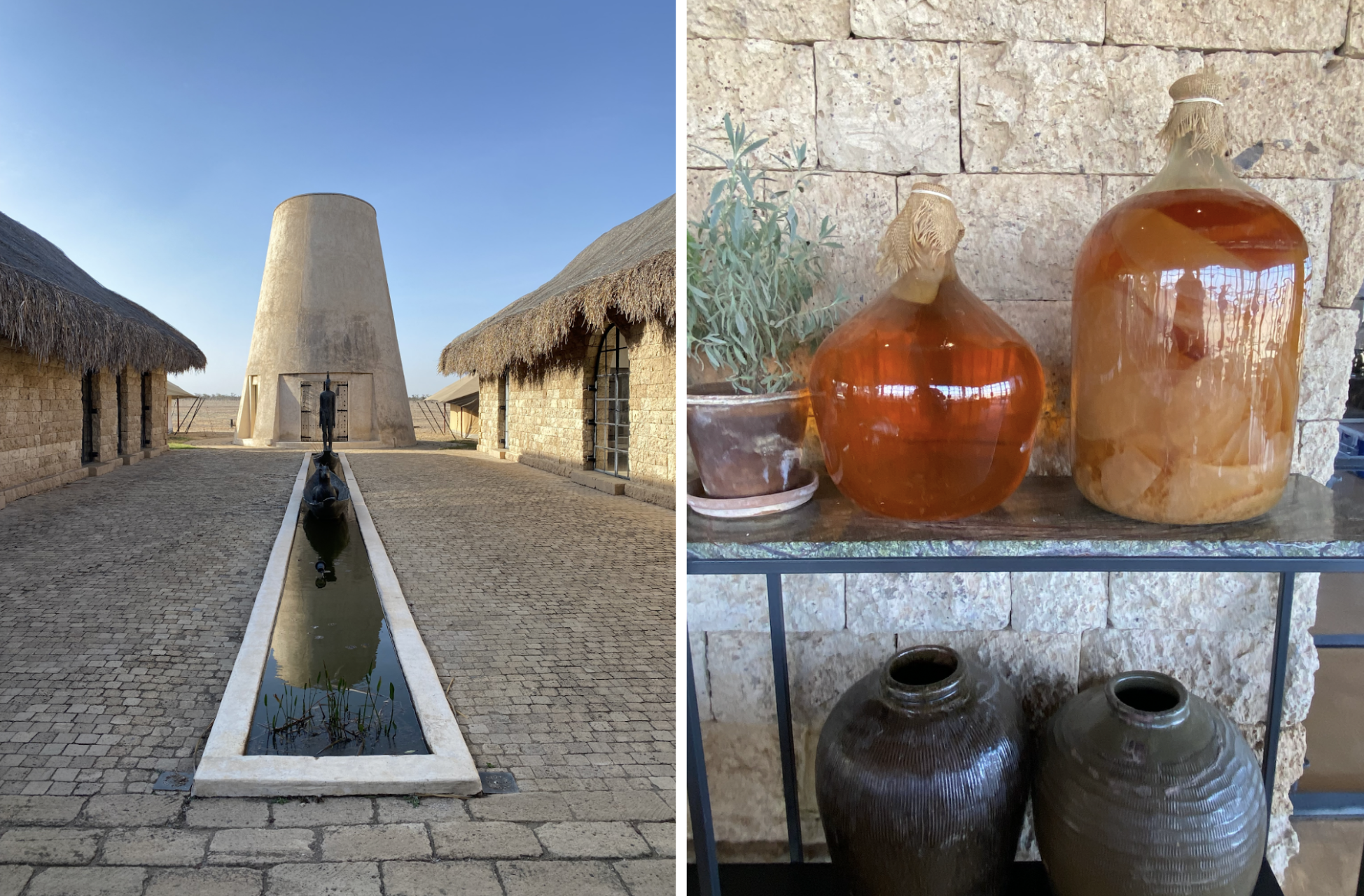 Segera Retreat’s Ginger Kombucha