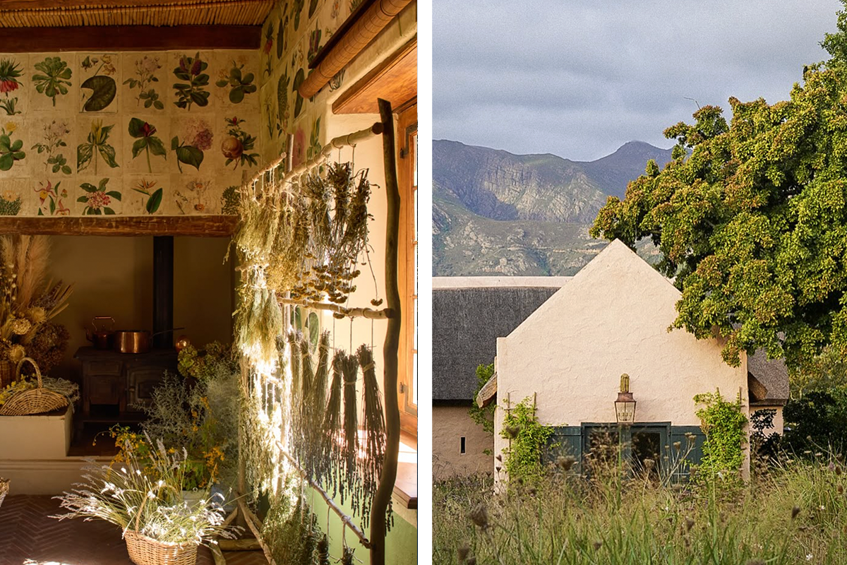 Retreat Report: Sterrekopje 