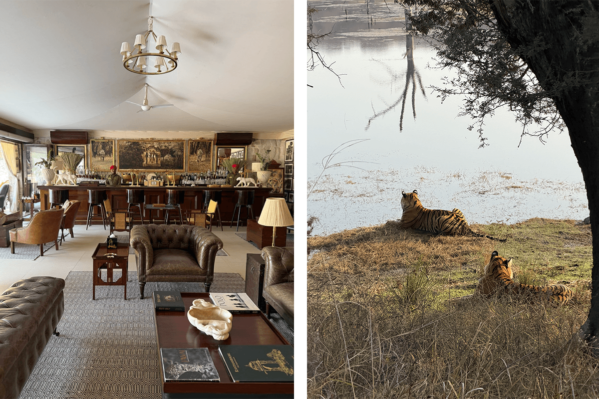 Suján Sher Bagh, Ranthambore National Park, Rajasthan