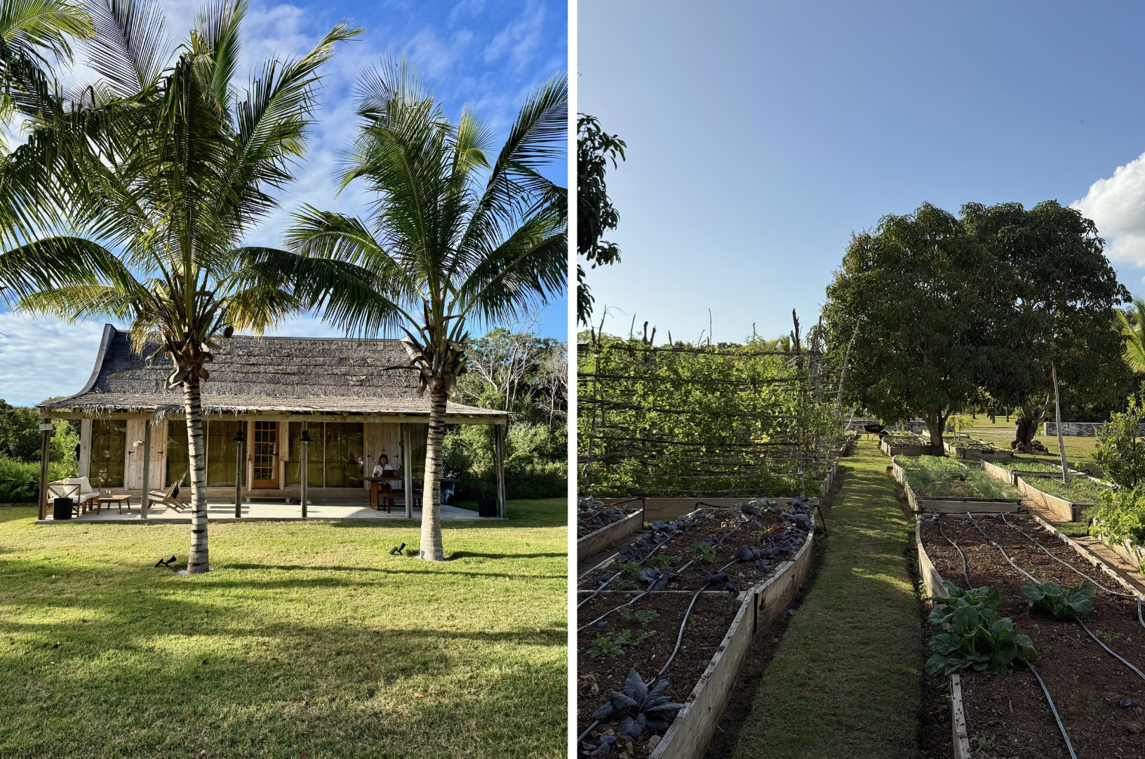 The Farm, Eleuthera, Bahamas