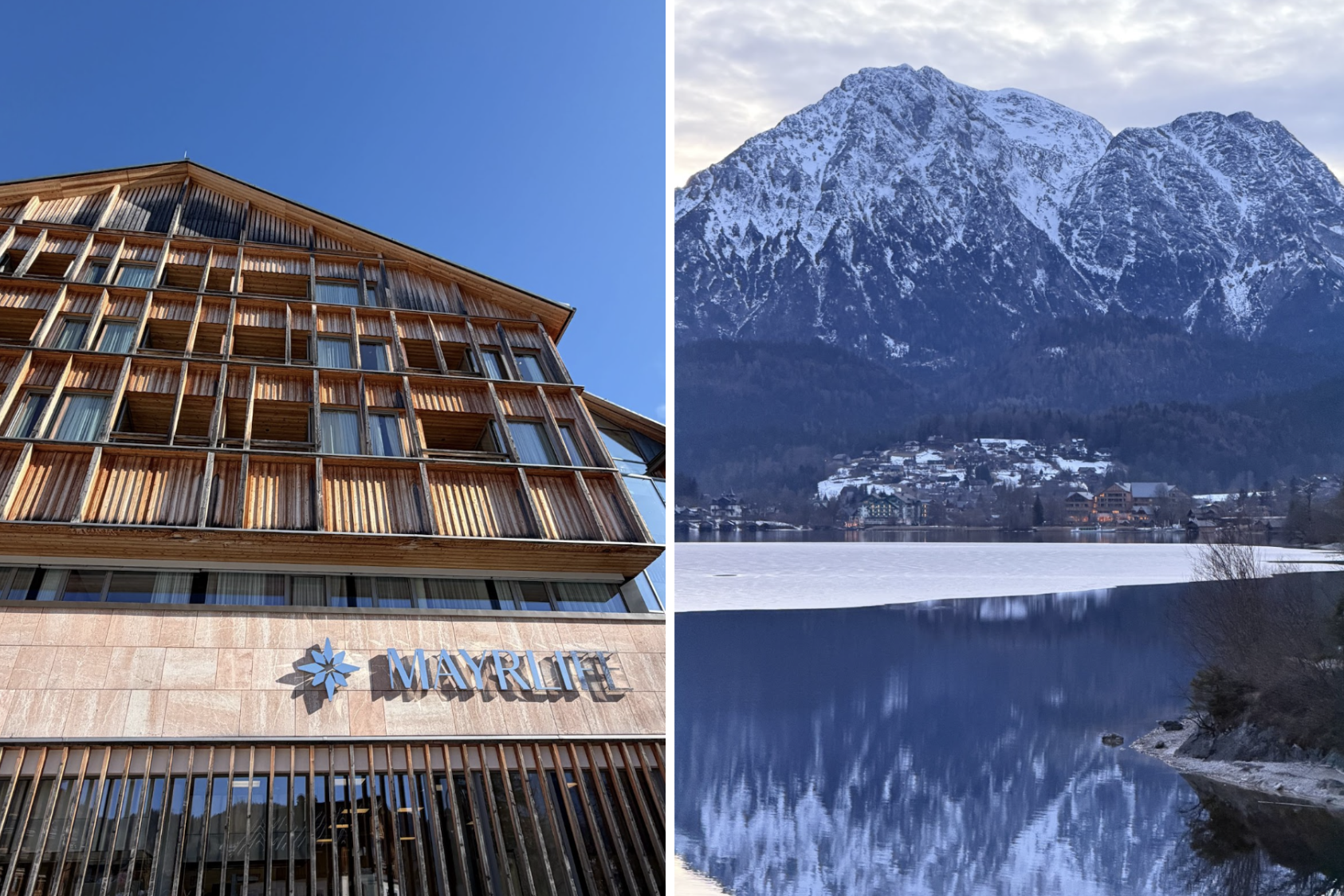 Dispatch from Mayrlife