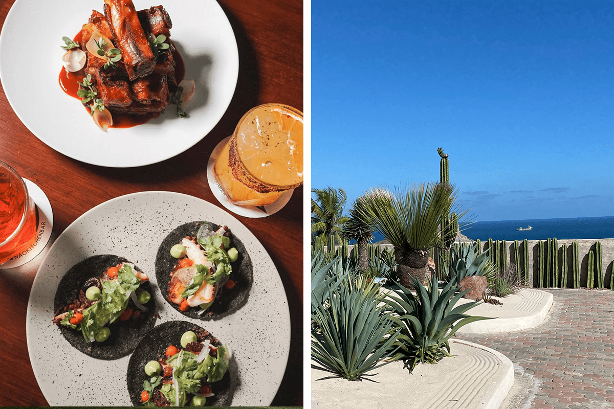 Dispatch from Mazatlán