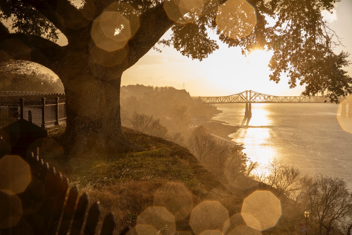 Dispatch from Natchez, Mississippi