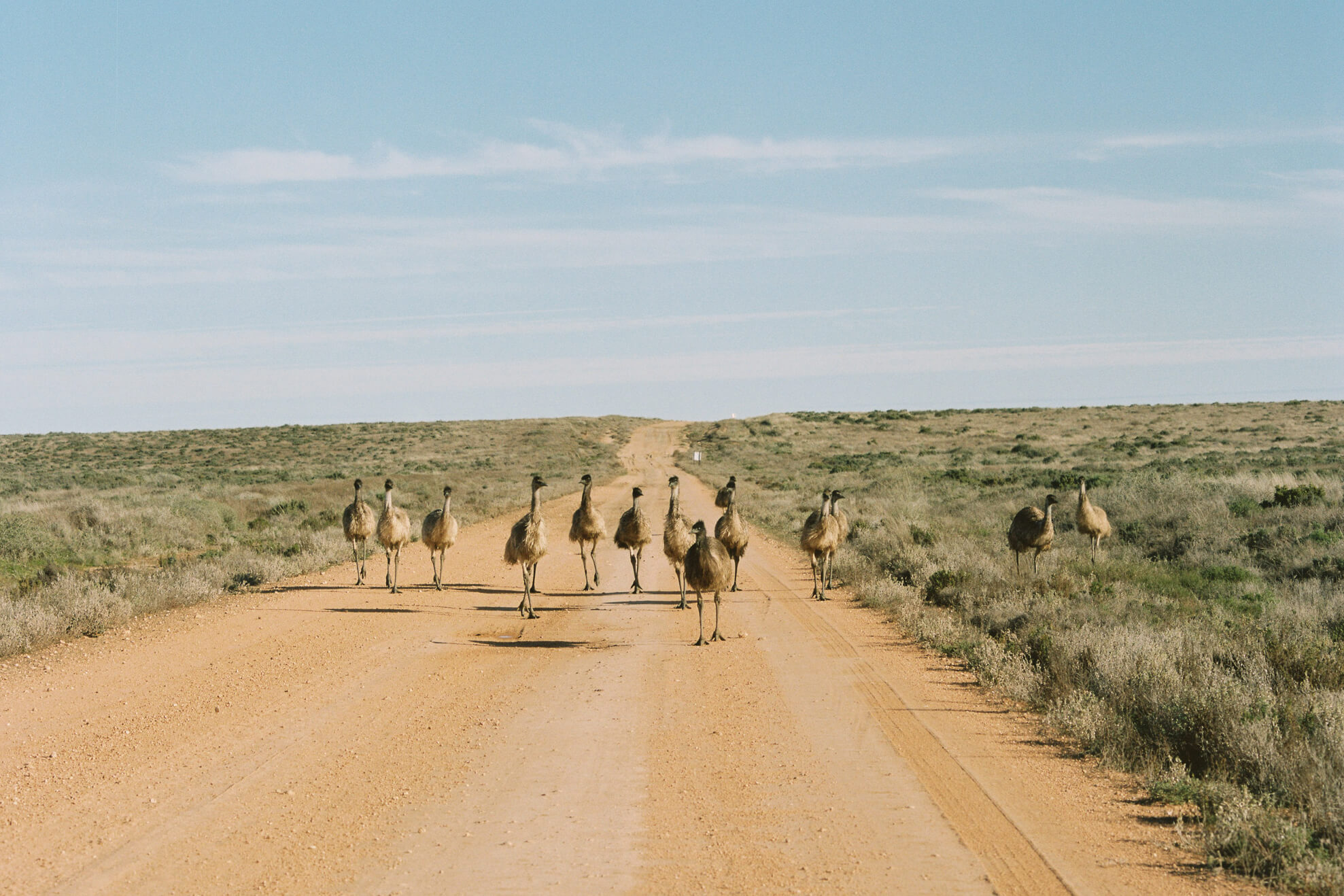 A 13-Day Road Trip Around New South Wales