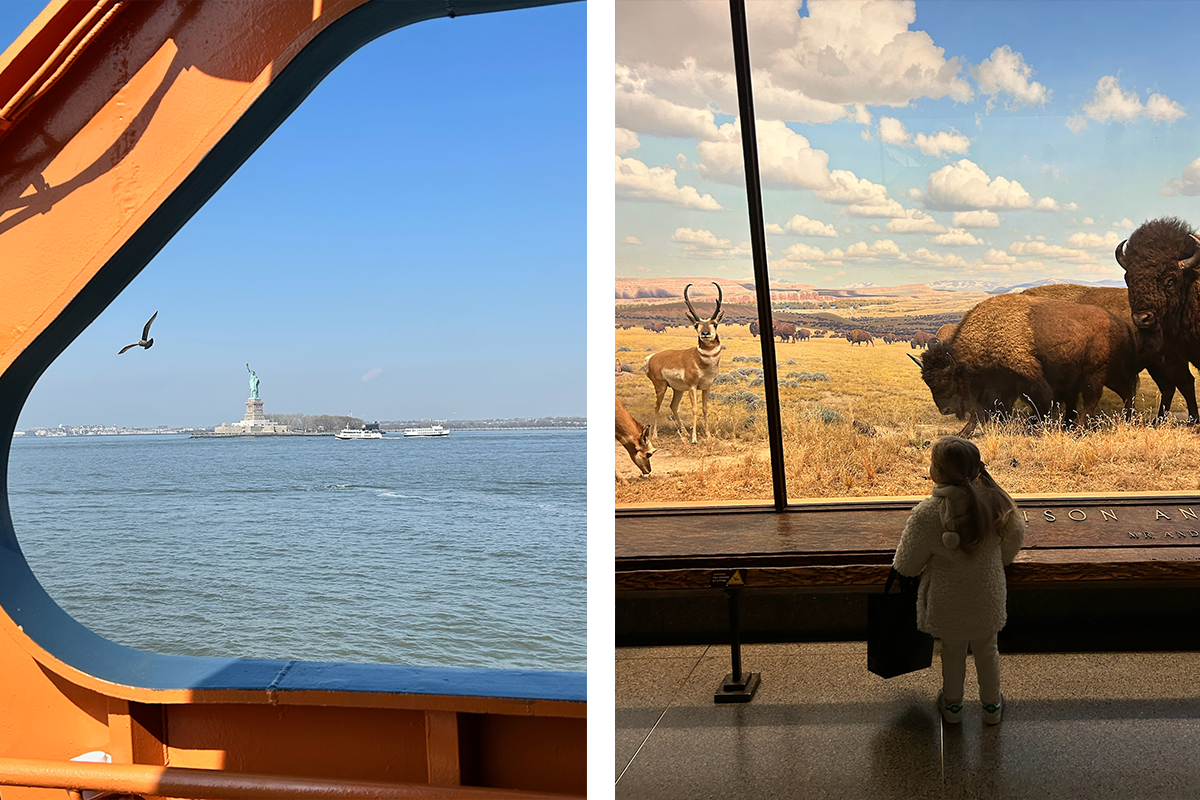 New York City Family Black Book