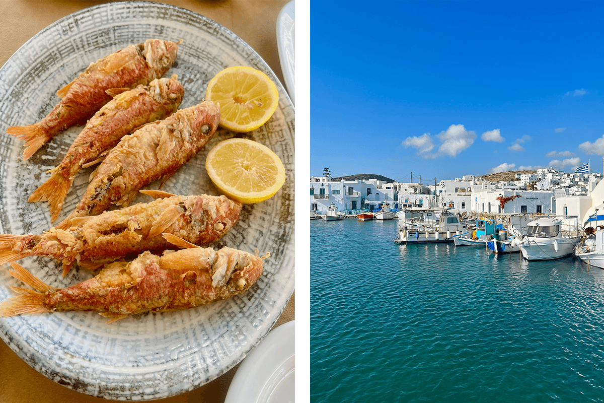 The Paros List