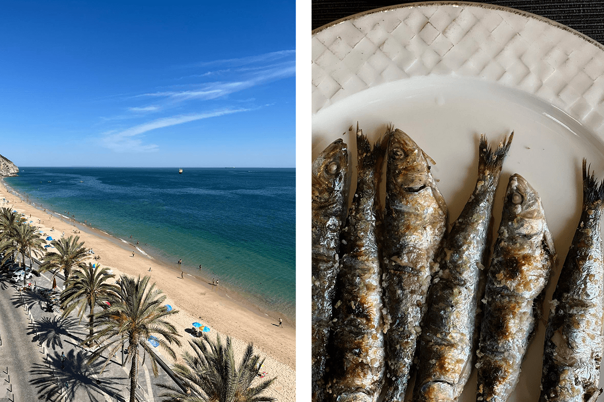 Dispatch from Sesimbra