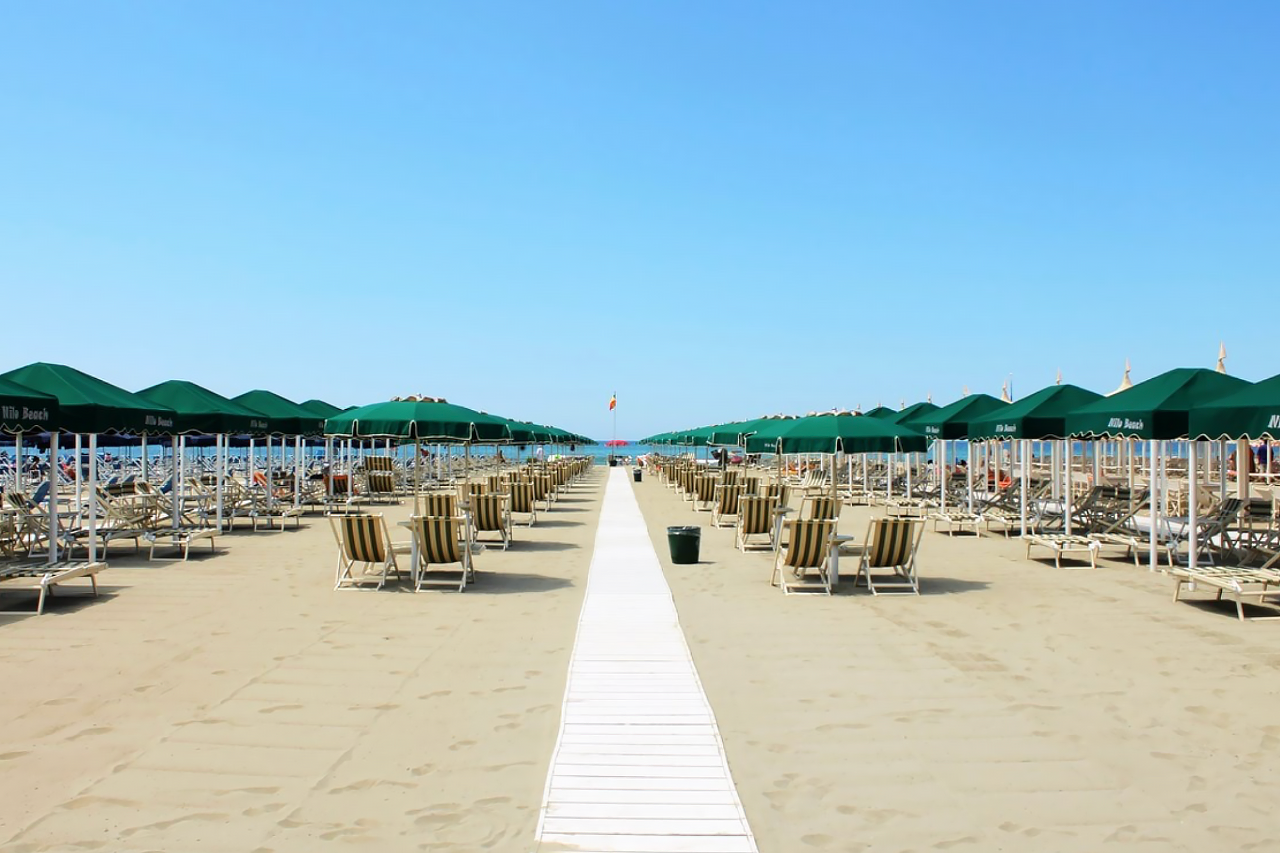 Dispatch From Camaiore
