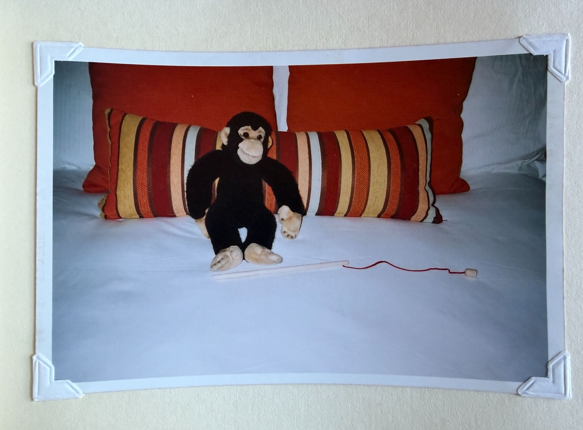 Turndown Photos