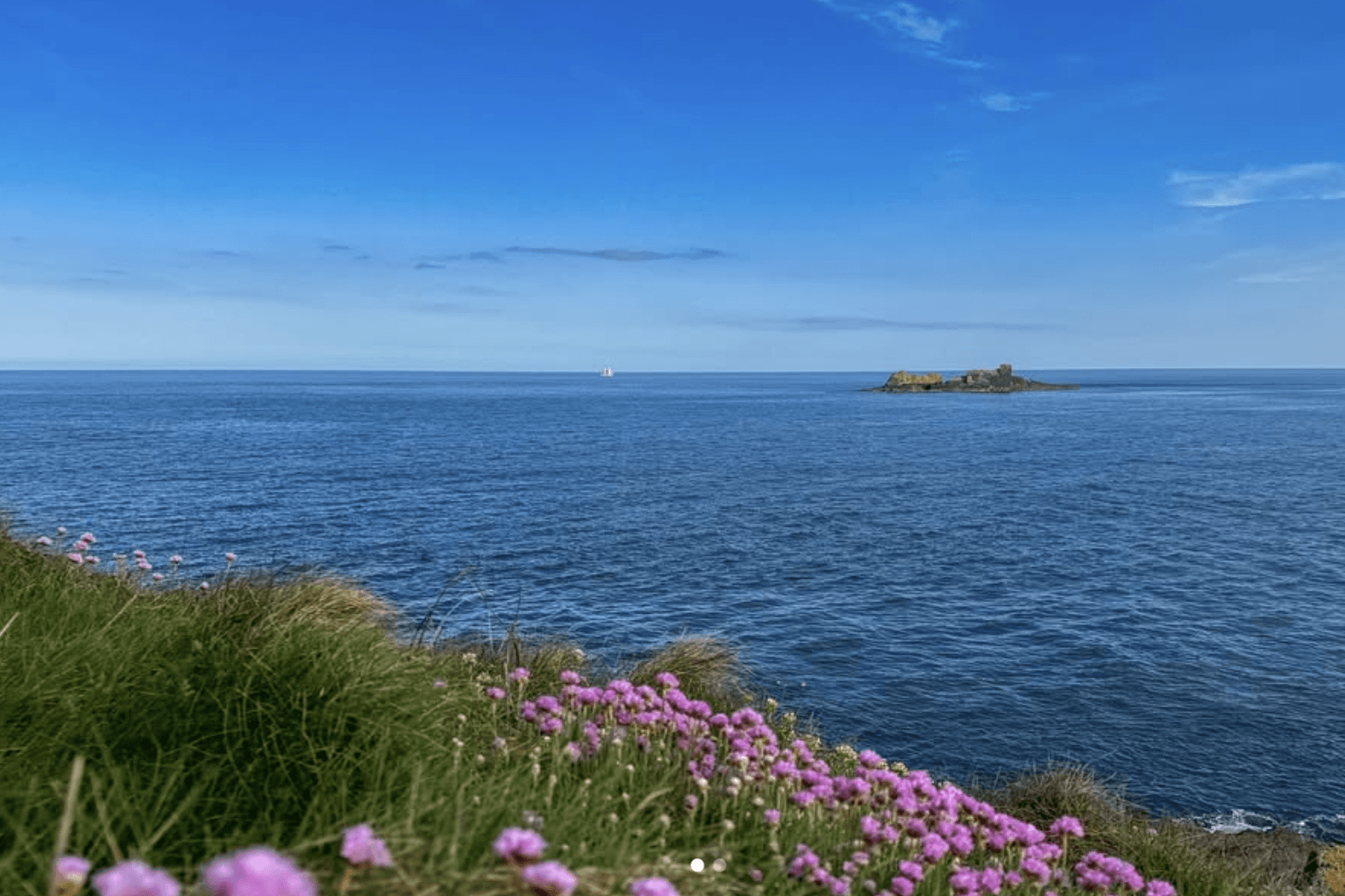 Dispatch from West Cork
