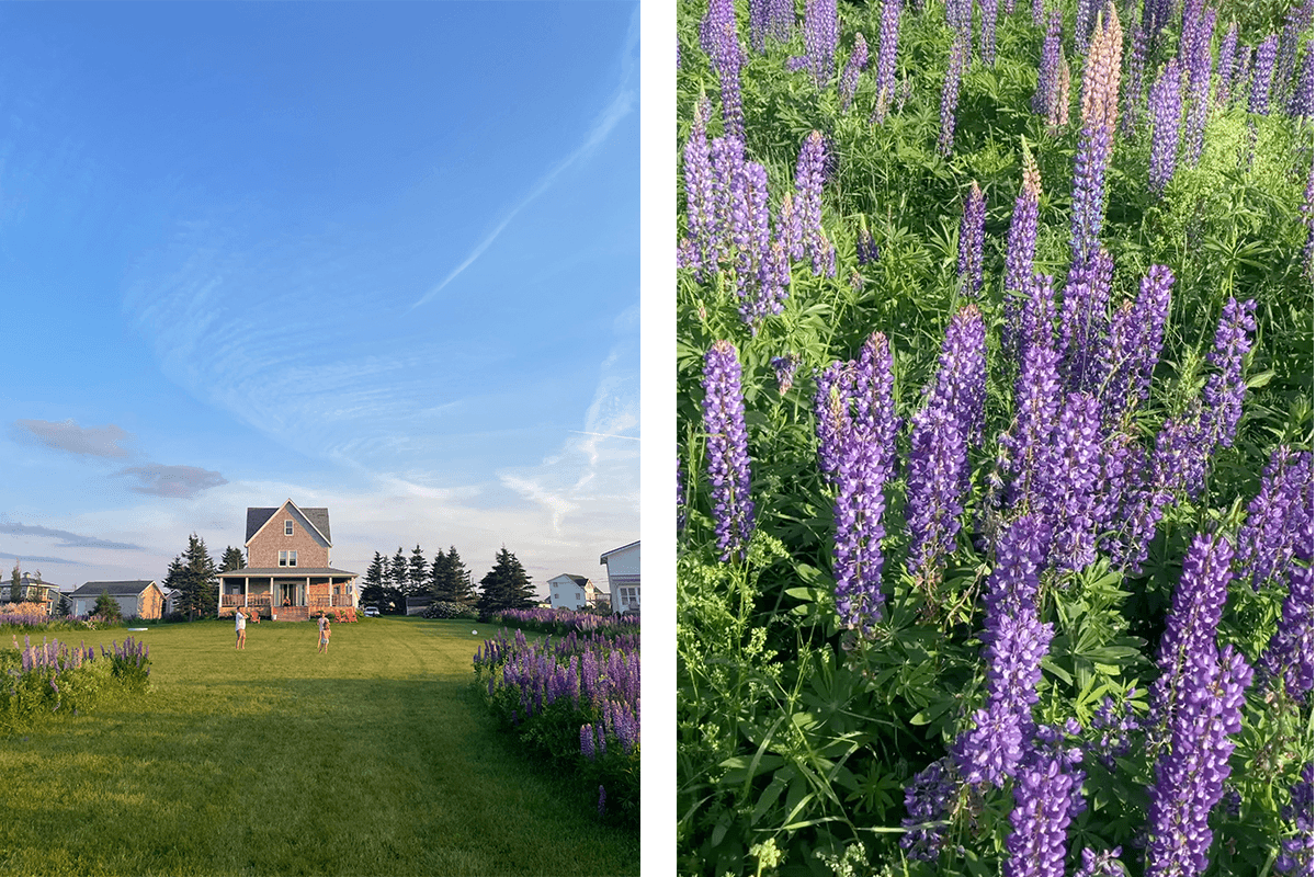Postcard From… Prince Edward Island, Eastern Canada