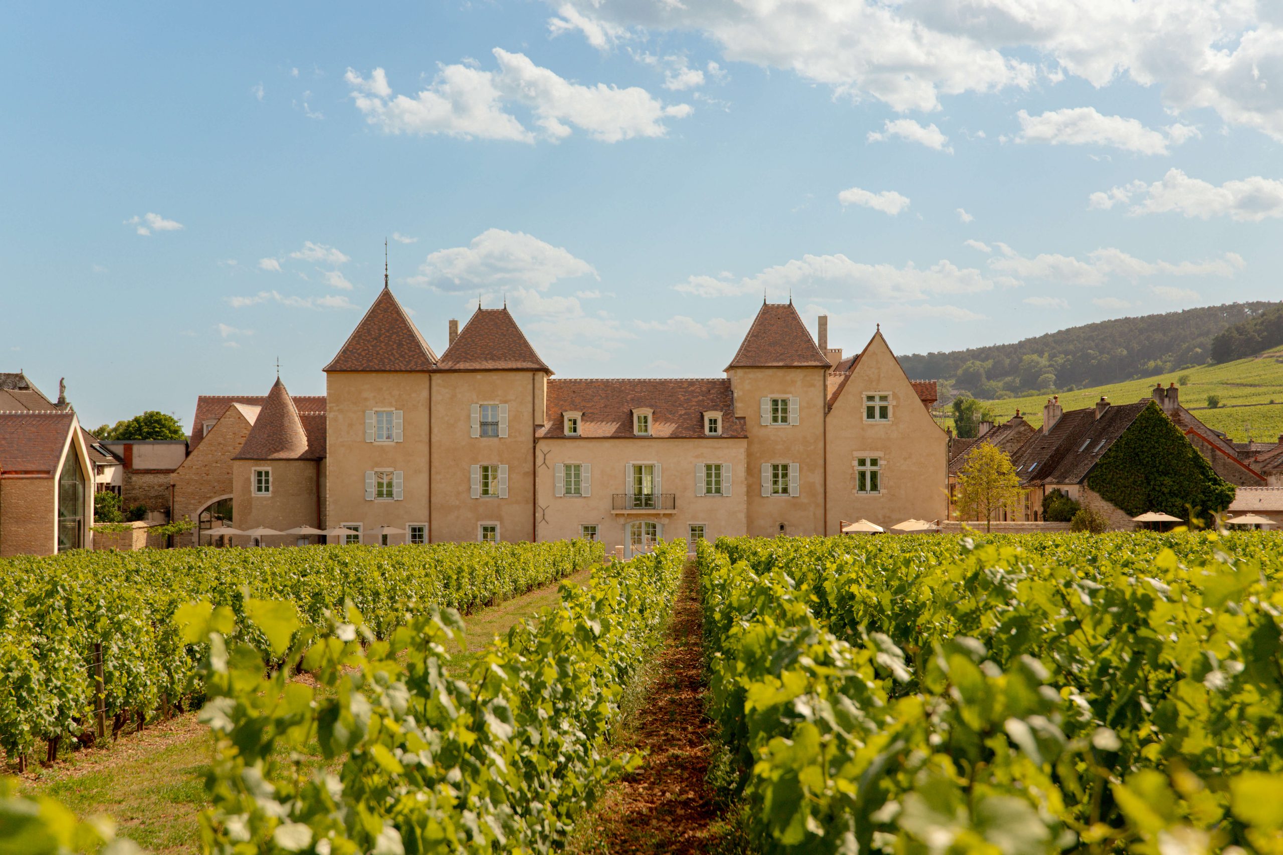 Château La Commaraine, Pommard, Burgundy